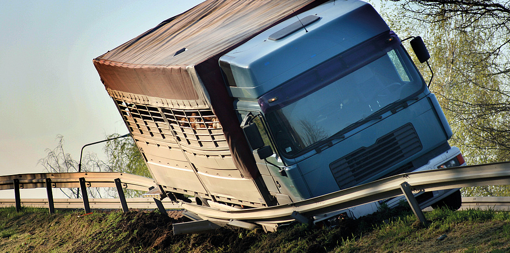 lkw tiertransport unfall