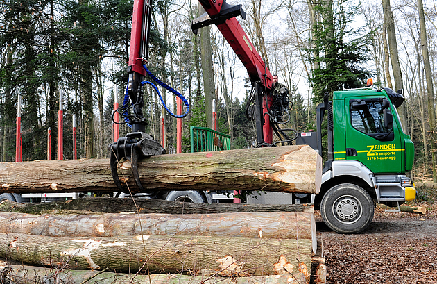 lkw holztransport