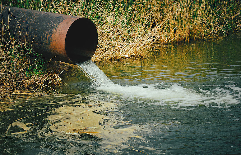 Seltene Erden koennen mit Bakterien aus Industrieabwasser recykliert werden